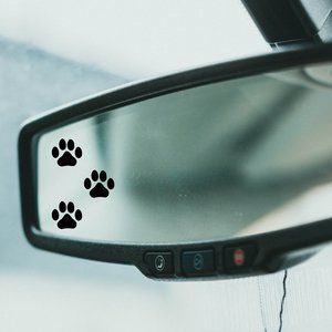 3/$15 Paw print rearview decal